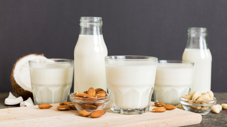 coconut milk, almond milk, and cashew milk in a variety of glasses