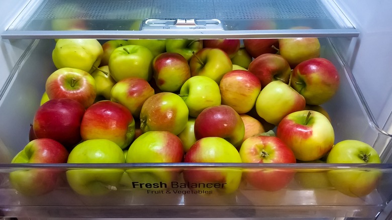 Red green apples stored in crisper compartment of refrigerator 