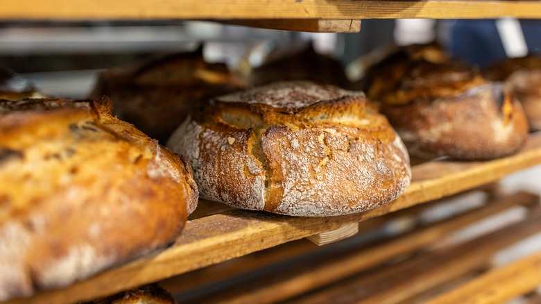 Loaves of artisanal sourdough bread.