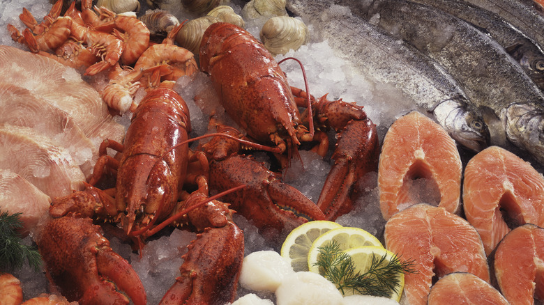 lobster and shrimp on display