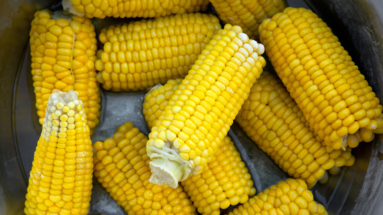 ears of corn in a pot