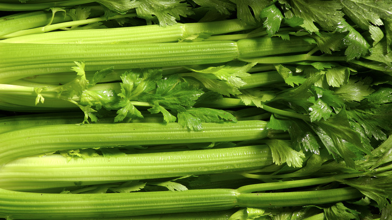 intact celery stalks with leaves