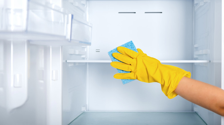 gloved hand cleaning refrigerator