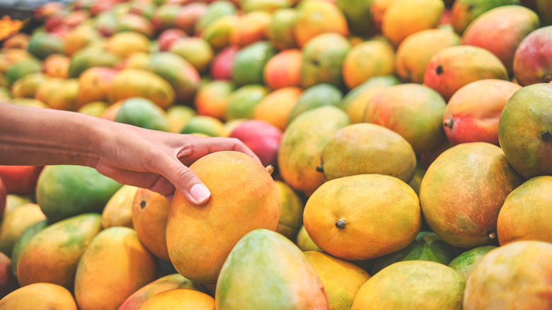 women picking ripe mango at market