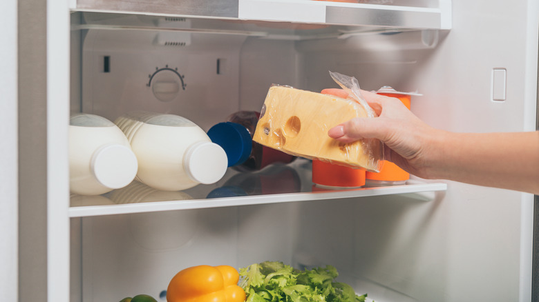 woman putting cheese in the refrigerator