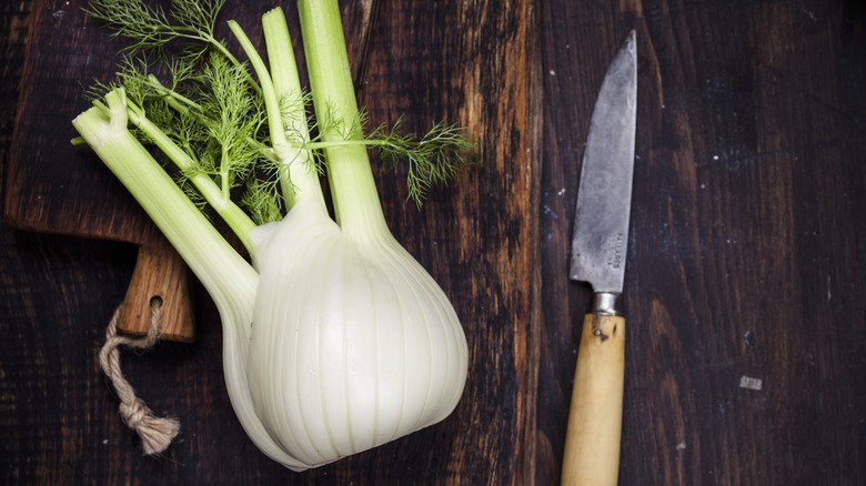 A fresh fennel bulb on a chopping board next to a knife