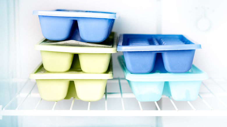 ice cube trays in freezer