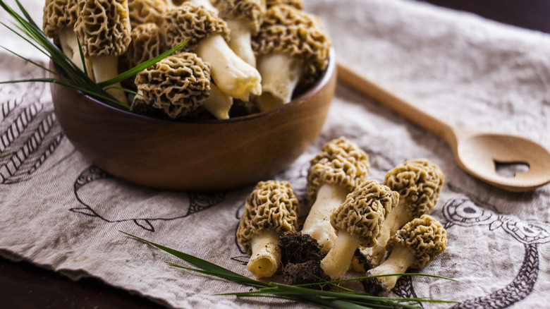 Morels in wooden bowl and on tablecloth