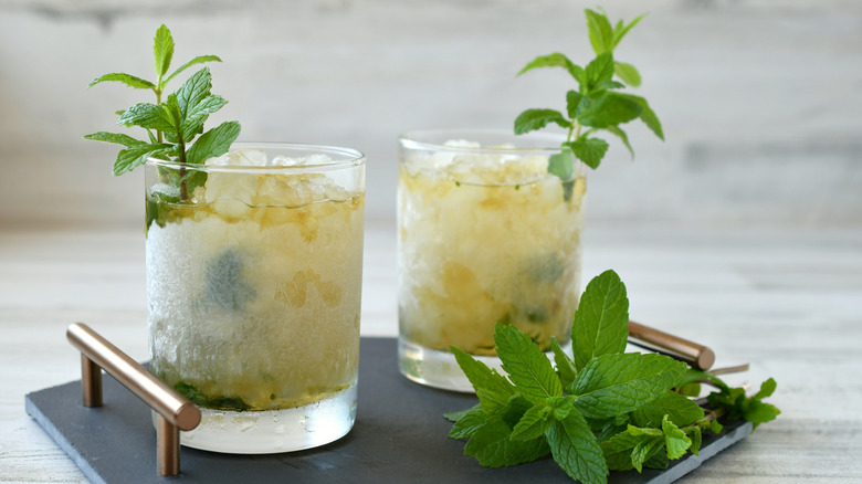 Two mint juleps in frosty glasses with a fresh mint garnish