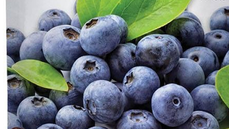 Close-up of Torn Ranch's chocolate-covered blueberries