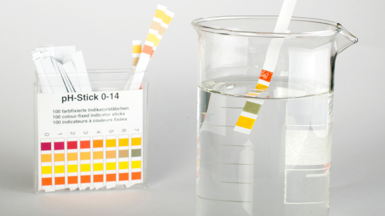 Water beaker with pH test strip