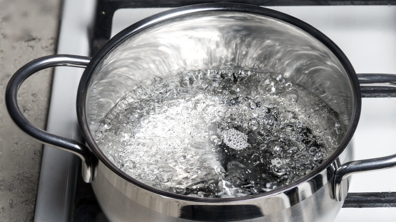 A pot of water boiling on the stove