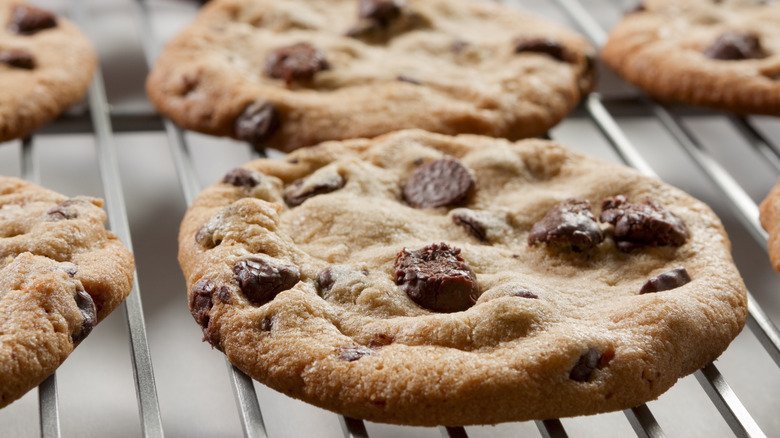 chocolate chip cookies on cooling rack