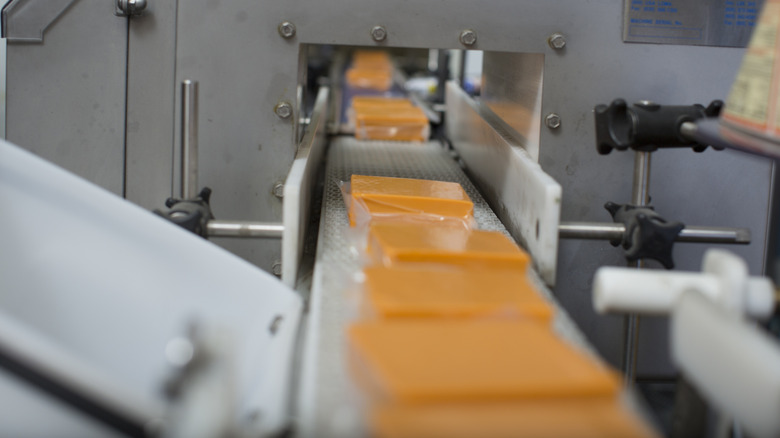 packaged slices of american cheese on conveyer belt