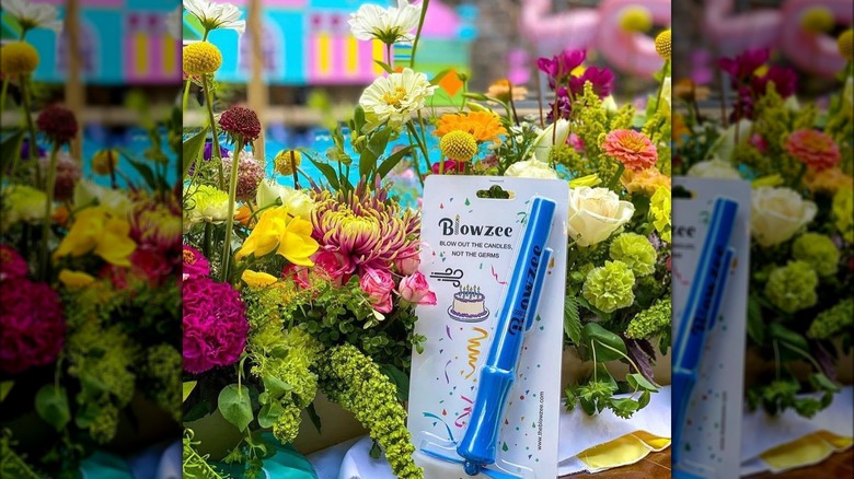 The Blowzee next to flowers