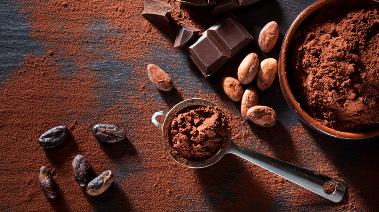 A bowl and metal sifter filled with cocoa powder sit next to pieces of solid chocolate and coca beans, with more cocoa powder sprinkled on the counter beneath