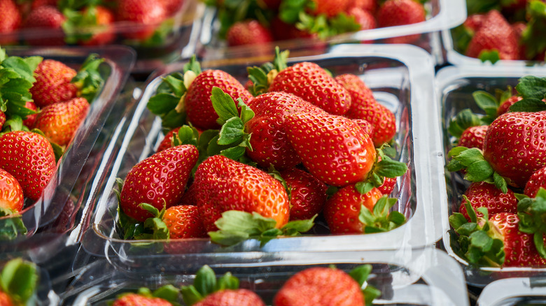 Strawberries in a plastic container