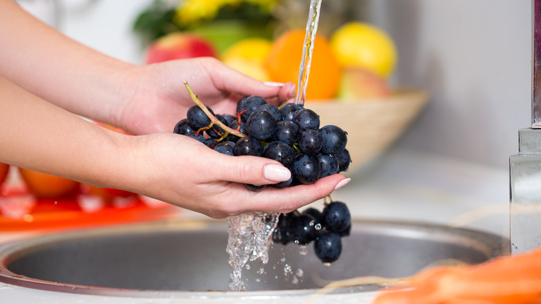 Woman rinsing grapes under faucet