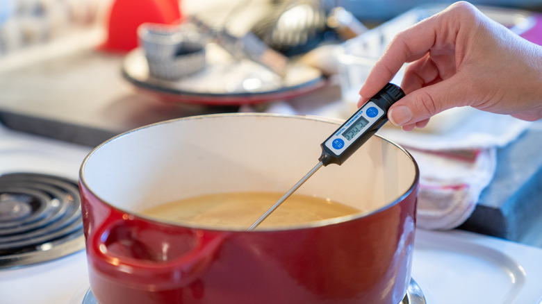 cooking thermometer for deep frying