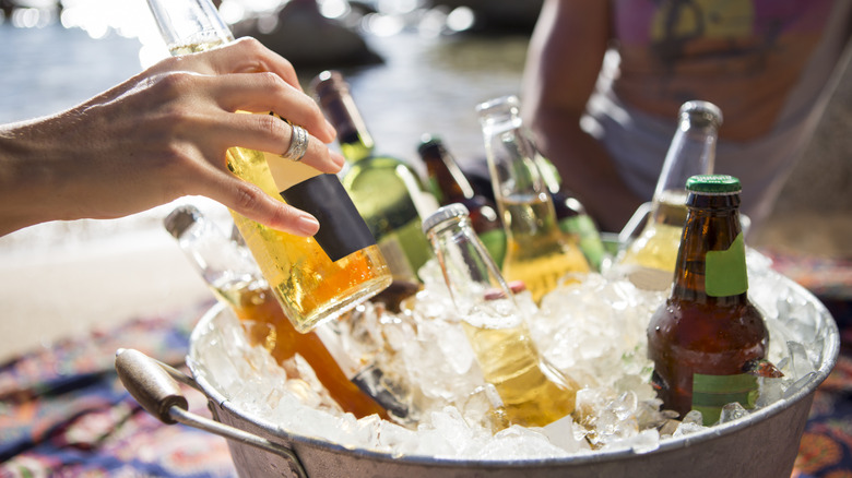 A person removes a beer from a bucket ice cooler full of ice and glass bottles of beers