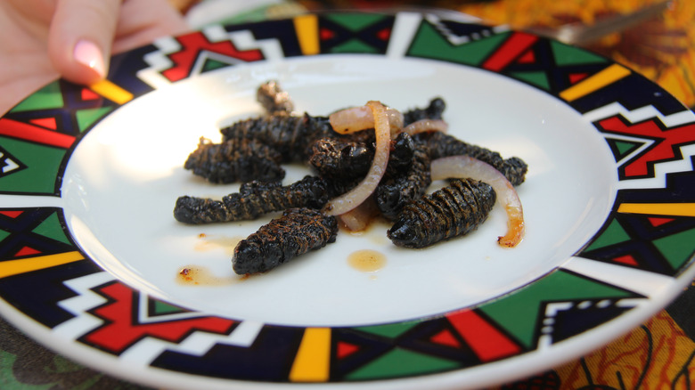Zimbabwe cuisine of fried mopane worms and onions