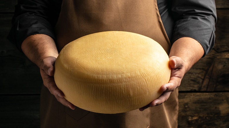 Person holding giant wheel of cheese