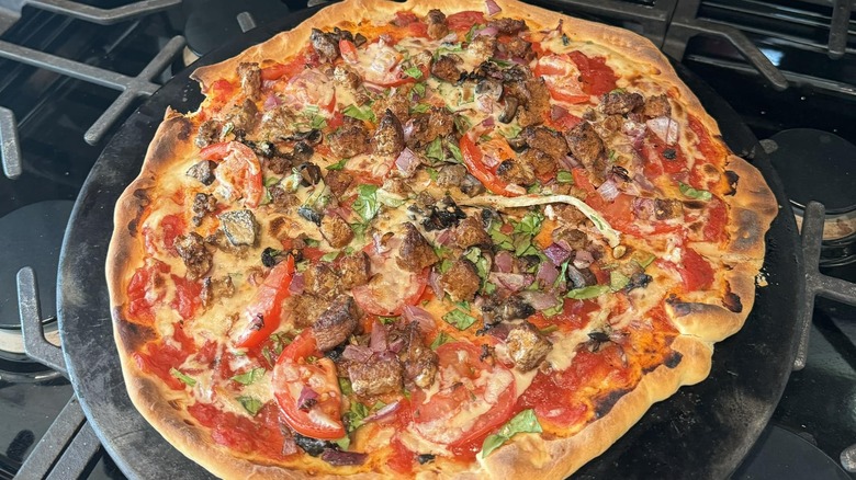 Homemade pizza with tomatoes, mushrooms, cilantro, vegan cashew cheese