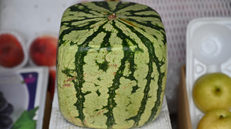 Square watermelon next to other fruits
