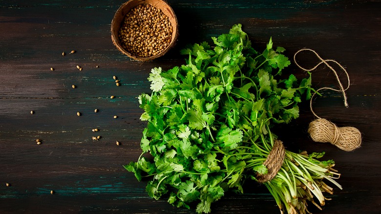 Fresh cilantro and coriander seeds