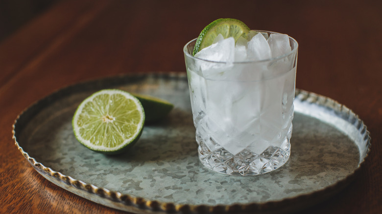 Gin and tonic in a rocks glass