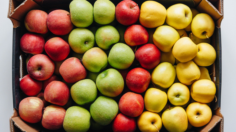 a cardboard box filled with four apple varieties