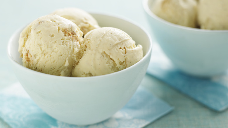 Bowl of plain vanilla ice cream