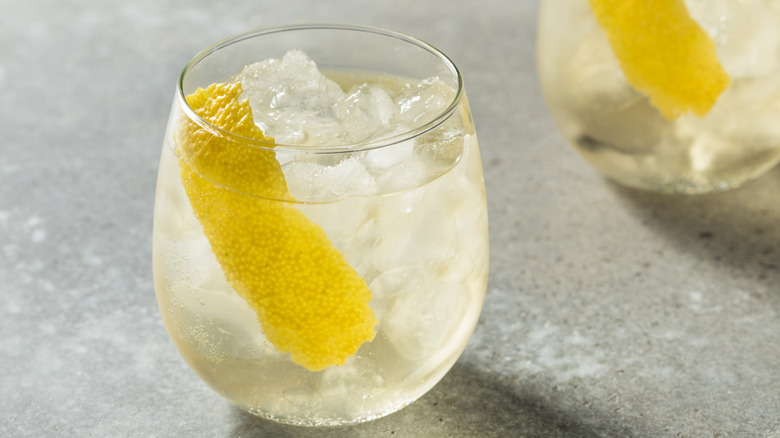 Boozy Refreshing White Wine Spritzer with a Lemon Peel