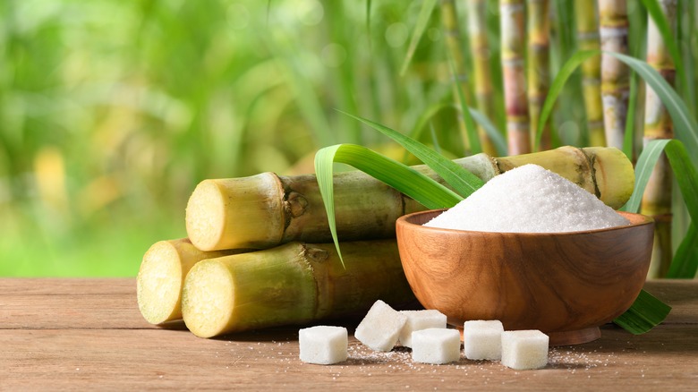 Sugar cane stalks next to a wooden bowl full of white sugar crystals with white sugar cubes next to it