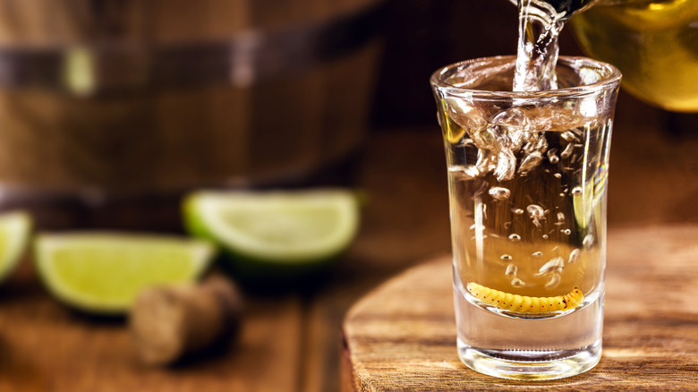 Mezcal shot being poured with a worm at the bottom of the shot glass