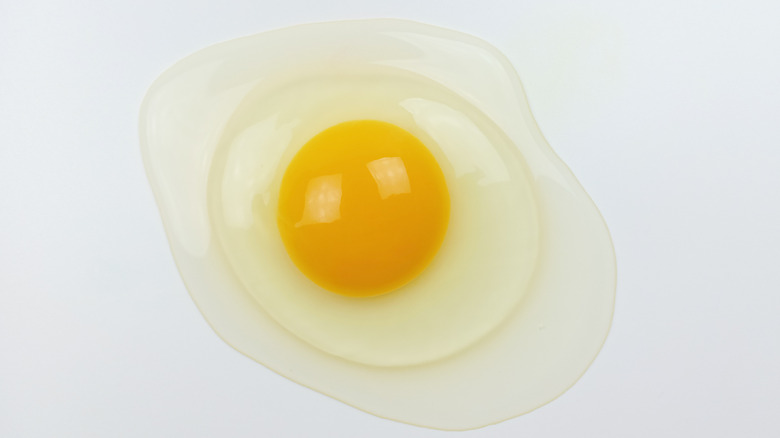Raw egg with apparent egg white layers