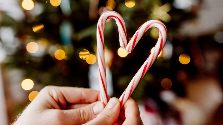 A person holds up two candy canes together to form the shape of a heart