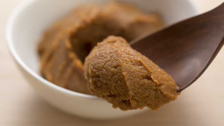 A spoon full of miso paste