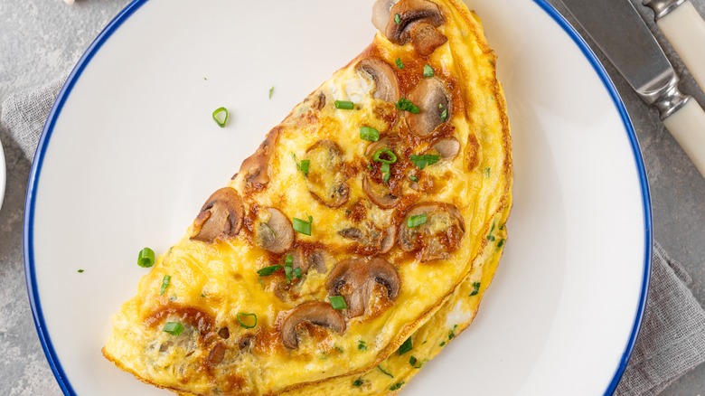 american omelet with mushrooms