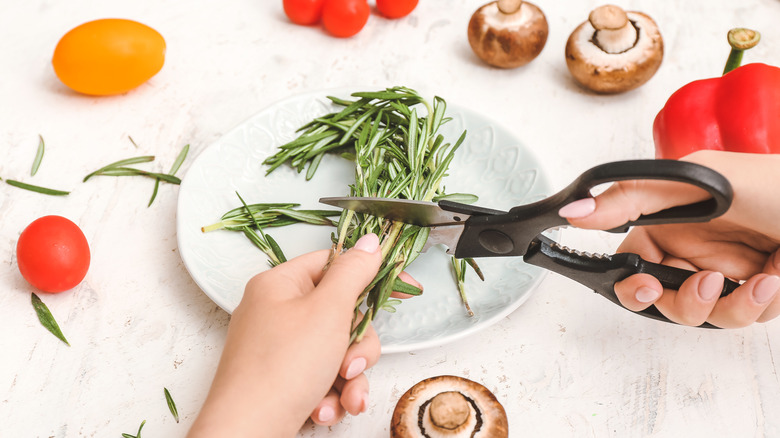 Cutting herbs with scissors