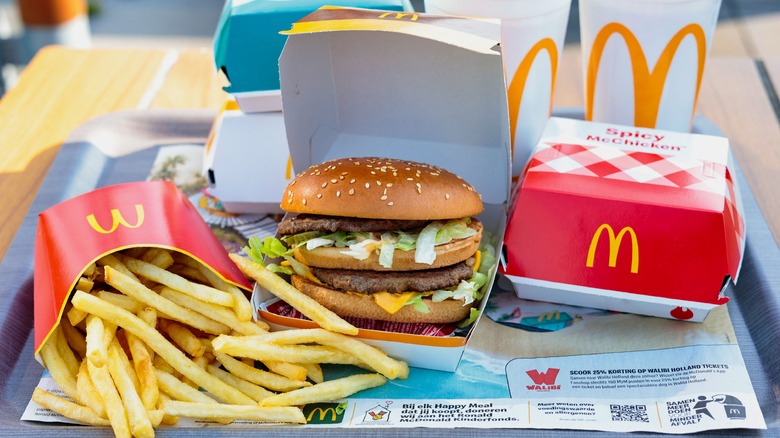 A McDonald's meal with a Big Mac, fries, and Spicy McChicken inside its container