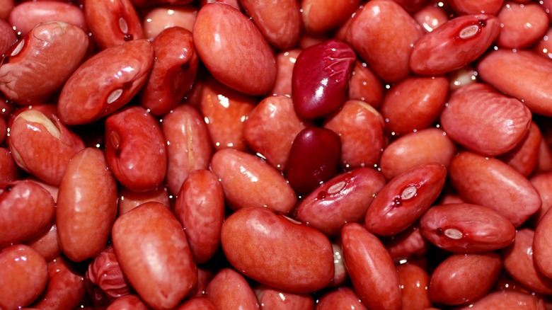 Close-up of red beans