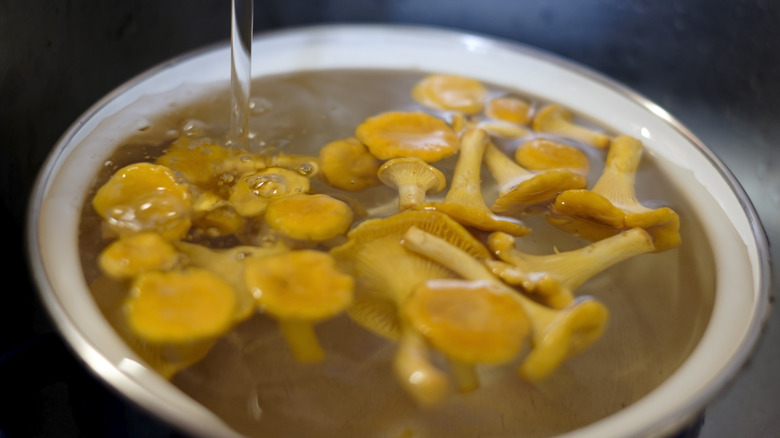 Chanterelle mushrooms soaking in bowl of water