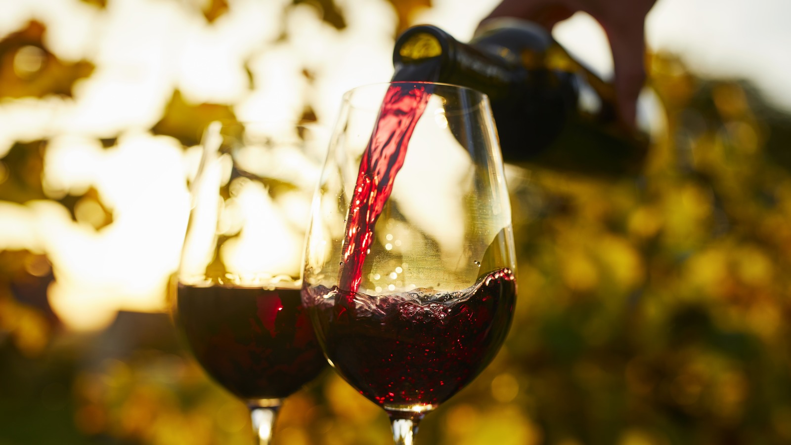 Sulfites In Wine Are Not Always To Blame For Giving You Headaches