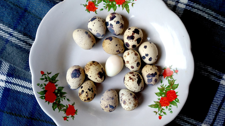 quail eggs on a plate