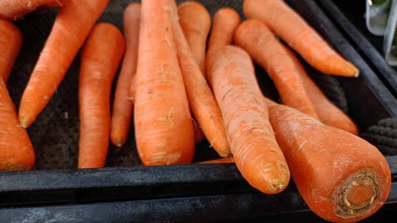 pile of raw unpeeled carrots