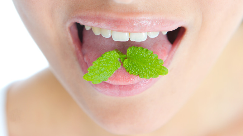 Woman eating mint leaves