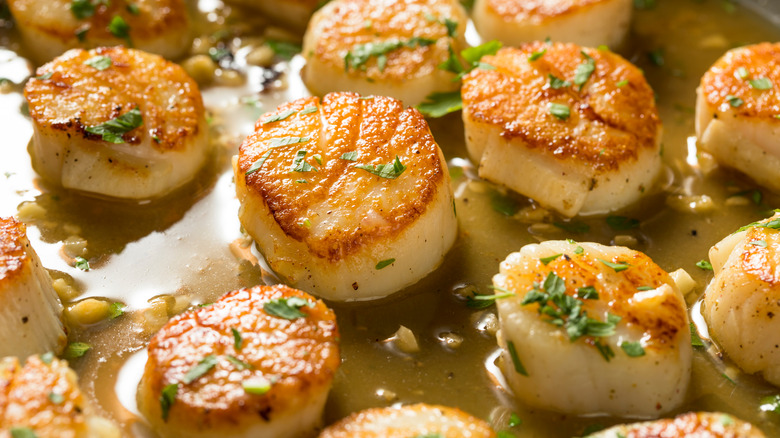 seared scallops with butter and herbs