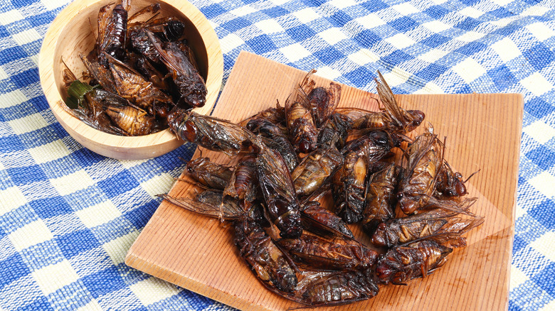 Deep fried crunchy cicada bugs snack in bowl and plate