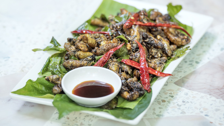 Plate of fried cicadas with red chili peppers and dipping sauce